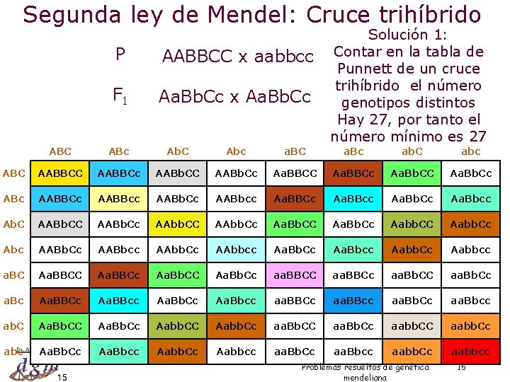 Segunda ley de Mendel: Cruce trihíbrido P AABBCC x aabbcc F 1 Aa. Bb.