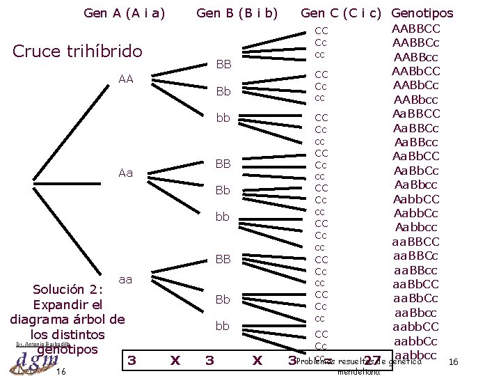 Gen A (A i a) Gen B (B i b) Gen C (C i
