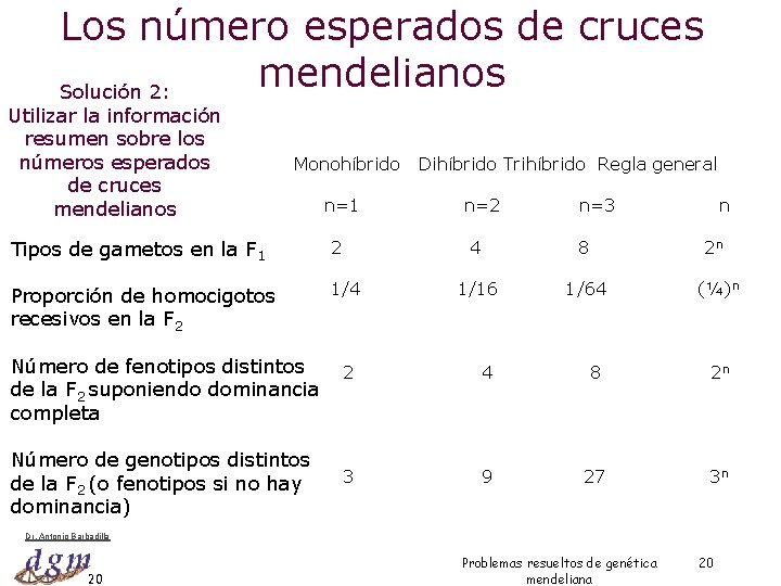 Los número esperados de cruces mendelianos Solución 2: Utilizar la información resumen sobre los