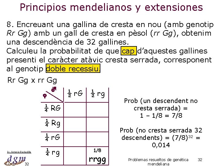 Principios mendelianos y extensiones 8. Encreuant una gallina de cresta en nou (amb genotip