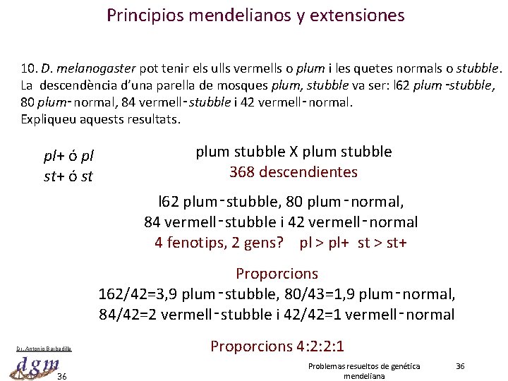 Principios mendelianos y extensiones 10. D. melanogaster pot tenir els ulls vermells o plum