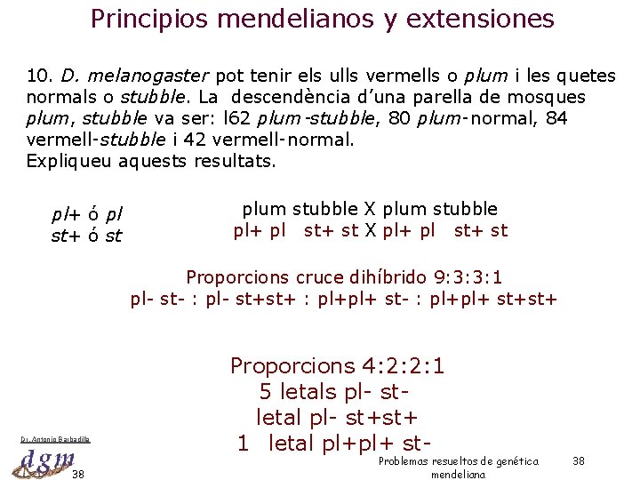 Principios mendelianos y extensiones 10. D. melanogaster pot tenir els ulls vermells o plum