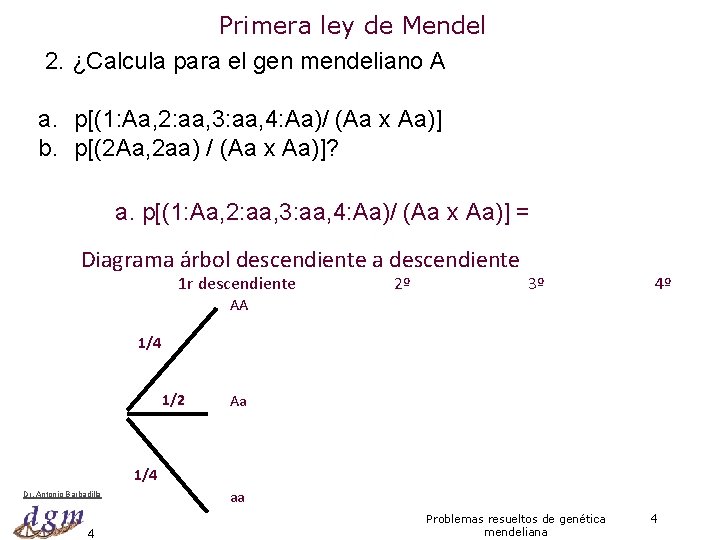 Primera ley de Mendel 2. ¿Calcula para el gen mendeliano A a. p[(1: Aa,