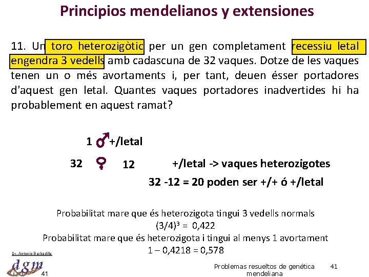 Principios mendelianos y extensiones 11. Un toro heterozigòtic per un gen completament recessiu letal