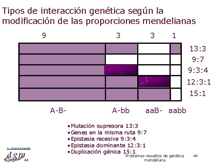 Tipos de interacción genética según la modificación de las proporciones mendelianas 9 3 3