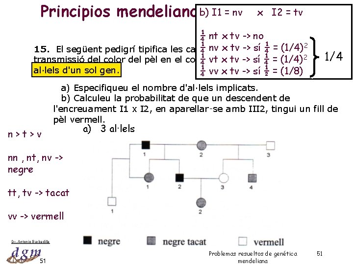 nv x I 2 = tv Principios mendelianosb) I 1 y =extensiones ¼ nt