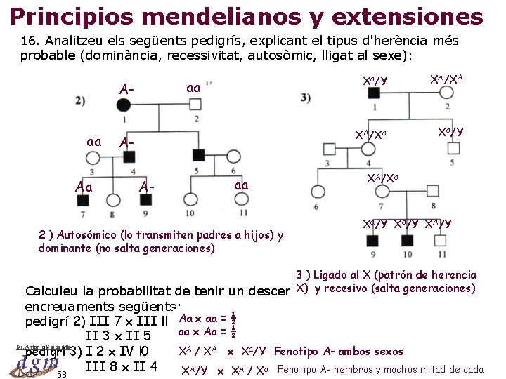 Principios mendelianos y extensiones 16. Analitzeu els següents pedigrís, explicant el tipus d'herència més