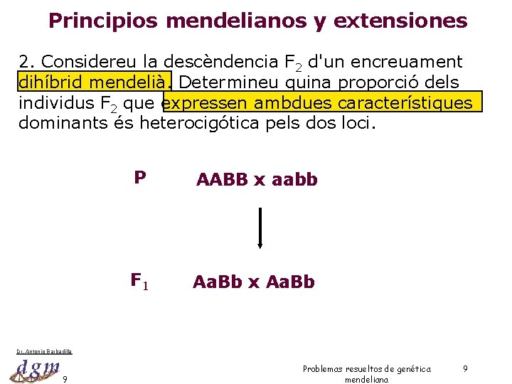 Principios mendelianos y extensiones 2. Considereu la descèndencia F 2 d'un encreuament dihíbrid mendelià.