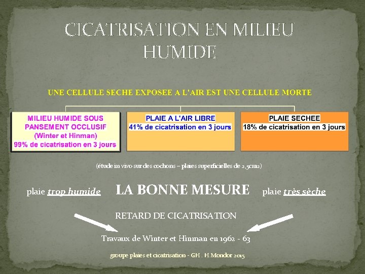 CICATRISATION EN MILIEU HUMIDE (étude in vivo sur des cochons – plaies superficielles de