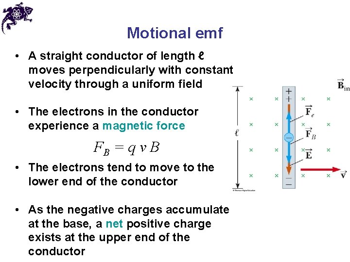 Motional emf • A straight conductor of length ℓ moves perpendicularly with constant velocity