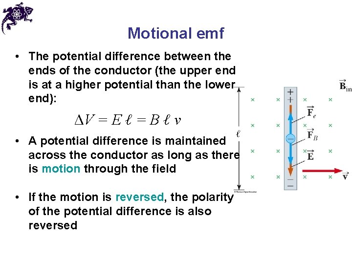 Motional emf • The potential difference between the ends of the conductor (the upper