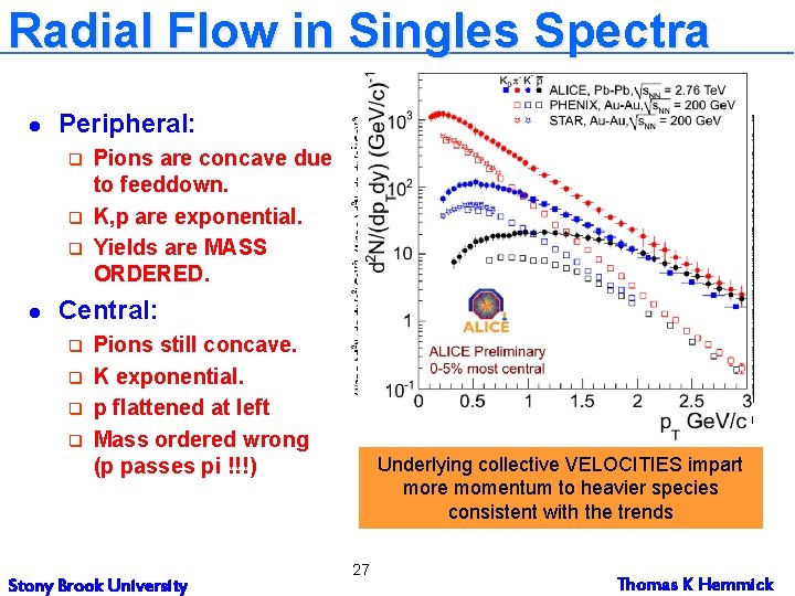 Radial Flow in Singles Spectra l Peripheral: q q q l Central Pions are Radial Flow in Singles Spectra l Peripheral: q q q l Central Pions are