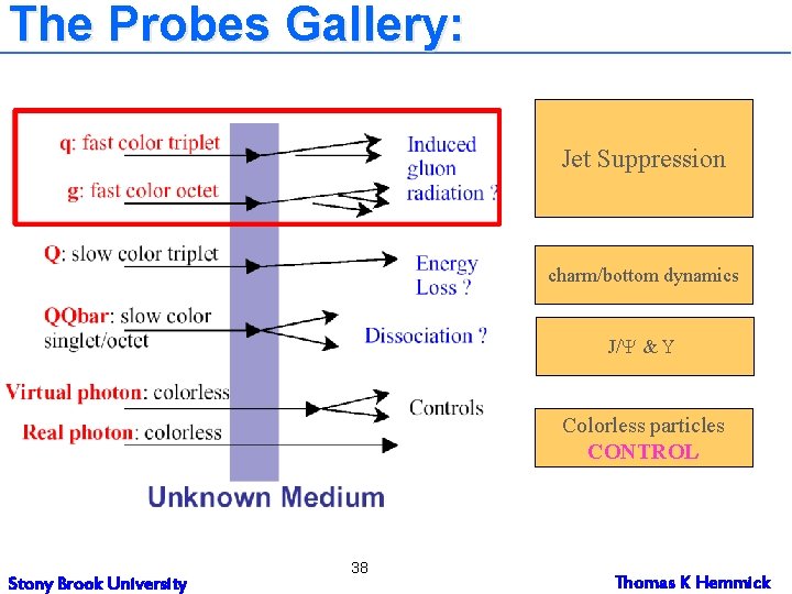 The Probes Gallery: Jet Suppression charm/bottom dynamics J/Y & U Colorless particles CONTROL Stony The Probes Gallery: Jet Suppression charm/bottom dynamics J/Y & U Colorless particles CONTROL Stony