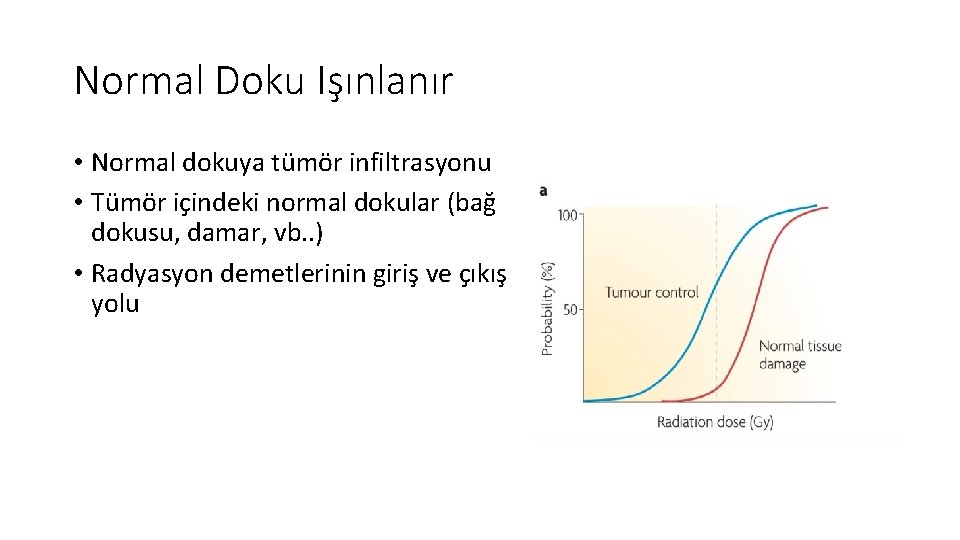 Normal Doku Işınlanır • Normal dokuya tümör infiltrasyonu • Tümör içindeki normal dokular (bağ Normal Doku Işınlanır • Normal dokuya tümör infiltrasyonu • Tümör içindeki normal dokular (bağ
