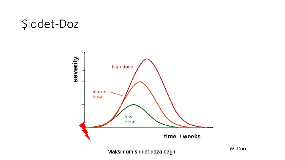 Şiddet-Doz Maksimum şiddet doza bağlı W. Dorr Şiddet-Doz Maksimum şiddet doza bağlı W. Dorr