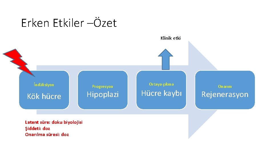 Erken Etkiler –Özet Klinik etki İndüksiyon Kök hücre Latent süre: doku biyolojisi Şiddeti: doz Erken Etkiler –Özet Klinik etki İndüksiyon Kök hücre Latent süre: doku biyolojisi Şiddeti: doz