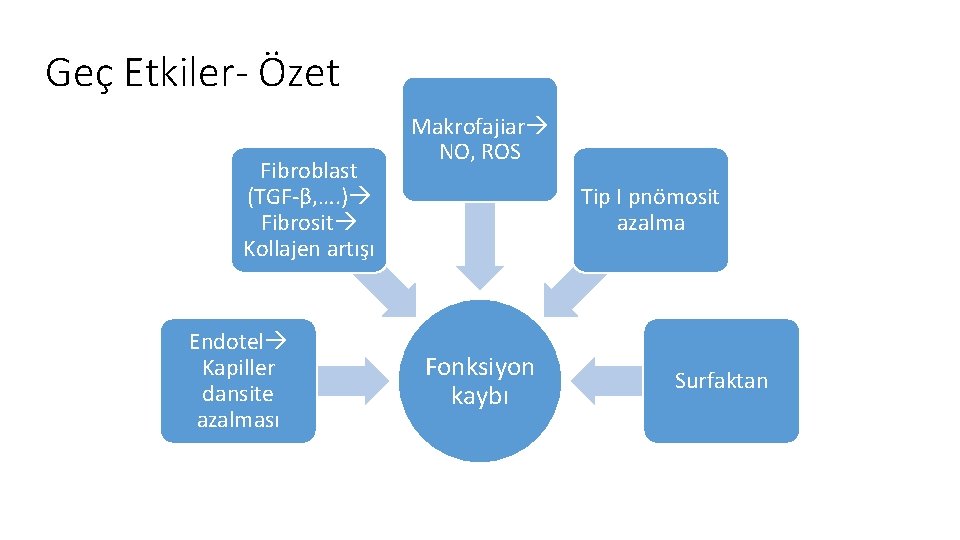 Geç Etkiler- Özet Fibroblast (TGF-β, …. ) Fibrosit Kollajen artışı Endotel Kapiller dansite azalması Geç Etkiler- Özet Fibroblast (TGF-β, …. ) Fibrosit Kollajen artışı Endotel Kapiller dansite azalması
