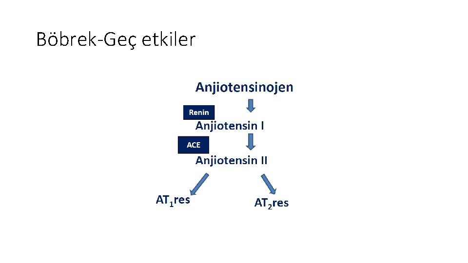 Böbrek-Geç etkiler Böbrek-Geç etkiler