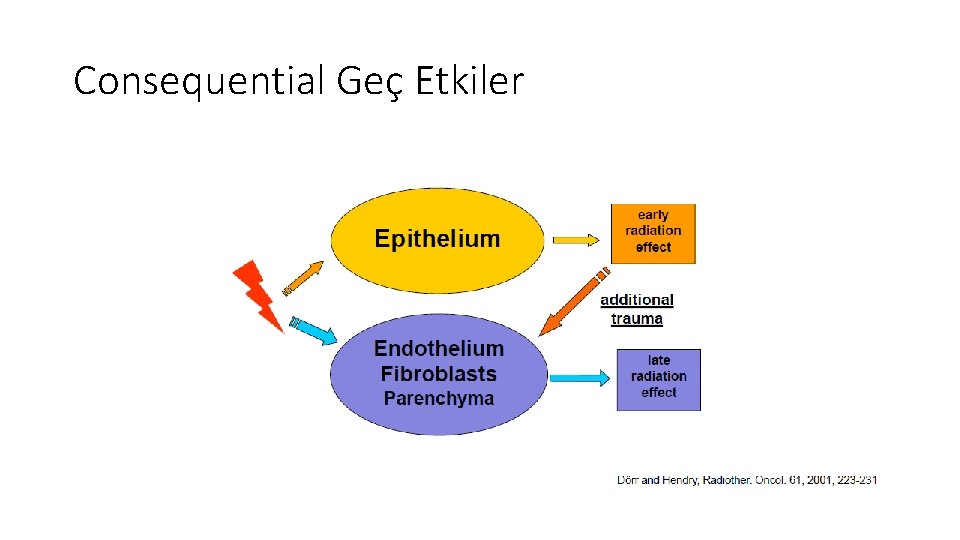 Consequential Geç Etkiler Consequential Geç Etkiler