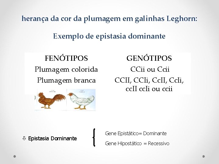 herança da cor da plumagem em galinhas Leghorn: Exemplo de epistasia dominante FENÓTIPOS Plumagem