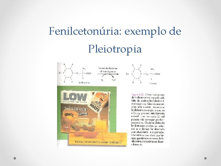 Fenilcetonúria: exemplo de Pleiotropia 