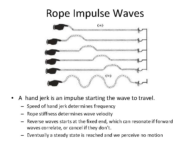 Rope Impulse Waves • A hand jerk is an impulse starting the wave to