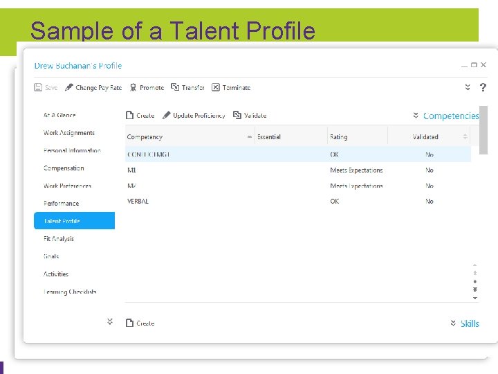 Sample of a Talent Profile 2/5/2013 | © 2012 Ciber, Inc. Sample of a Talent Profile 2/5/2013 | © 2012 Ciber, Inc.