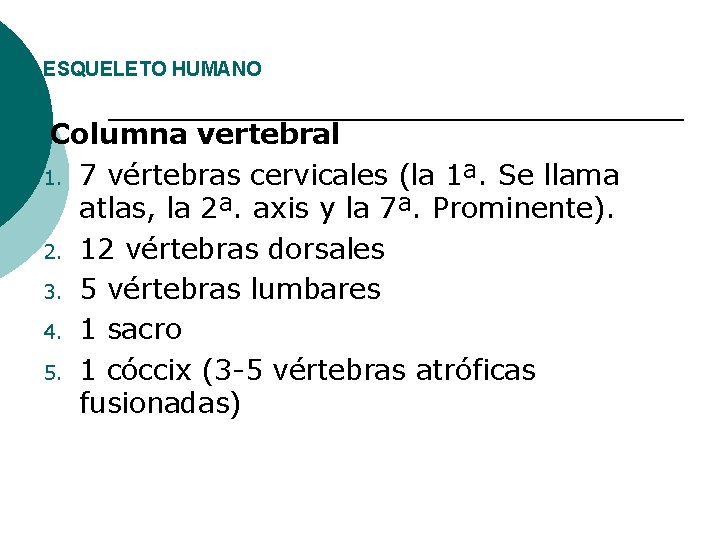 ESQUELETO HUMANO • Columna 1. 2. 3. 4. 5. vertebral 7 vértebras cervicales (la