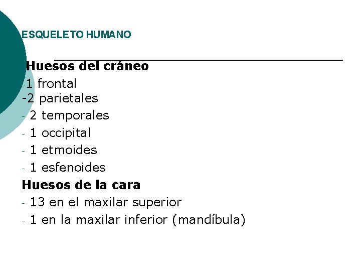 ESQUELETO HUMANO -Huesos -1 del cráneo frontal -2 parietales - 2 temporales - 1