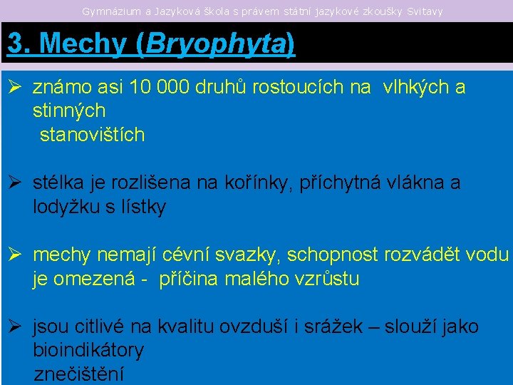 Gymnázium a Jazyková škola s právem státní jazykové zkoušky Svitavy 3. Mechy (Bryophyta) Ø