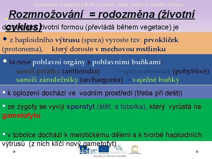 Gymnázium a Jazyková škola s právem státní jazykové zkoušky Svitavy Rozmnožování = rodozměna (životní