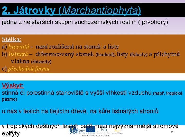 Gymnázium a Jazyková škola s právem státní jazykové zkoušky Svitavy 2. Játrovky (Marchantiophyta) jedna