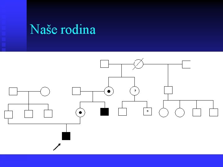 Naše rodina 