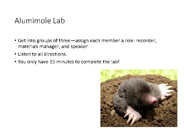 Alumimole Lab • Get into groups of three—assign each member a role: recorder, materials