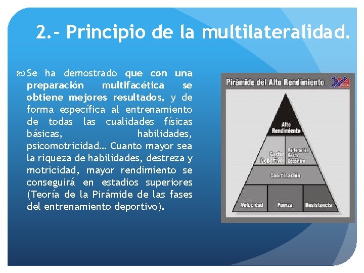2. - Principio de la multilateralidad. Se ha demostrado que con una preparación multifacética