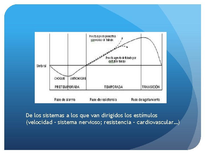 De los sistemas a los que van dirigidos los estímulos (velocidad – sistema nervioso;