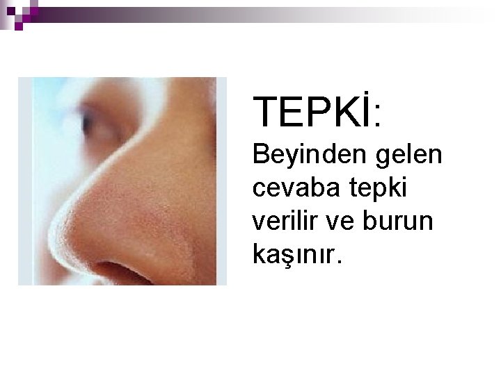 TEPKİ: Beyinden gelen cevaba tepki verilir ve burun kaşınır. 