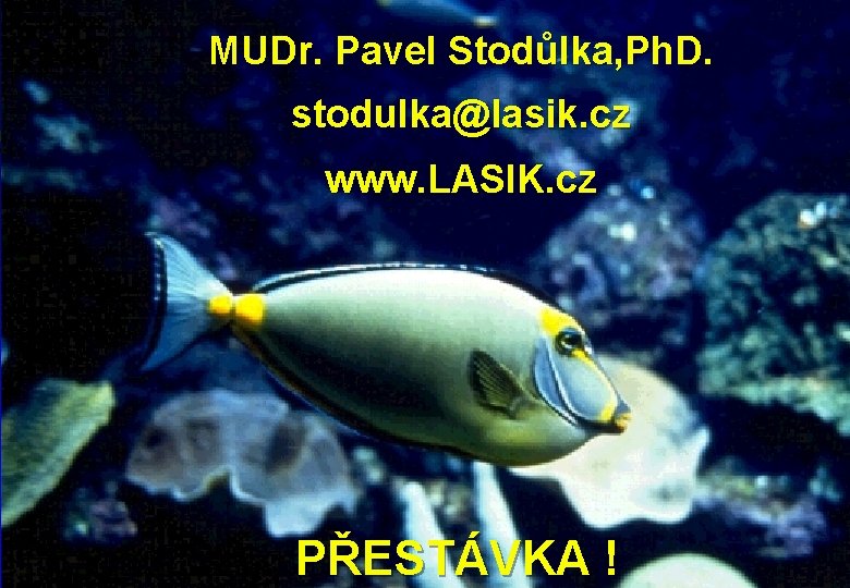 MUDr. Pavel Stodůlka, Ph. D. stodulka@lasik. cz www. LASIK. cz PŘESTÁVKA ! 