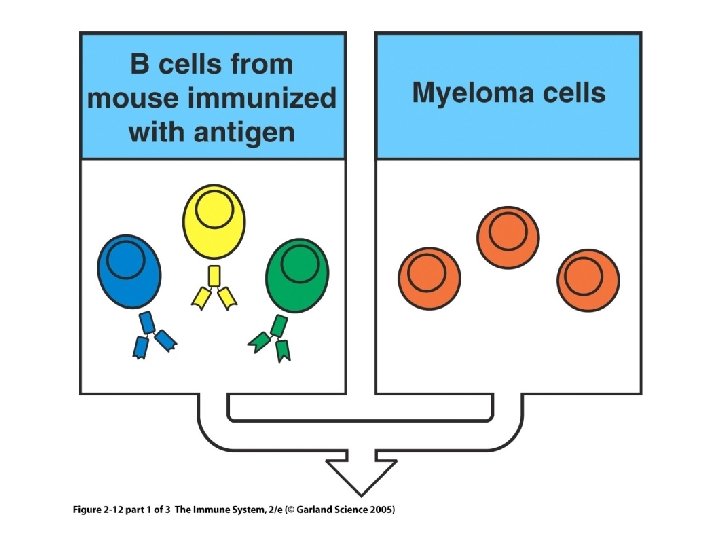 Figure 2 -12 part 1 of 3 