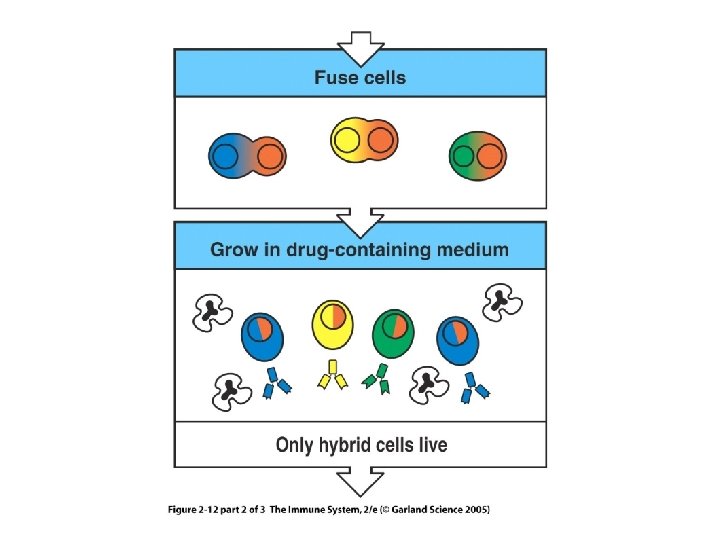 Figure 2 -12 part 2 of 3 