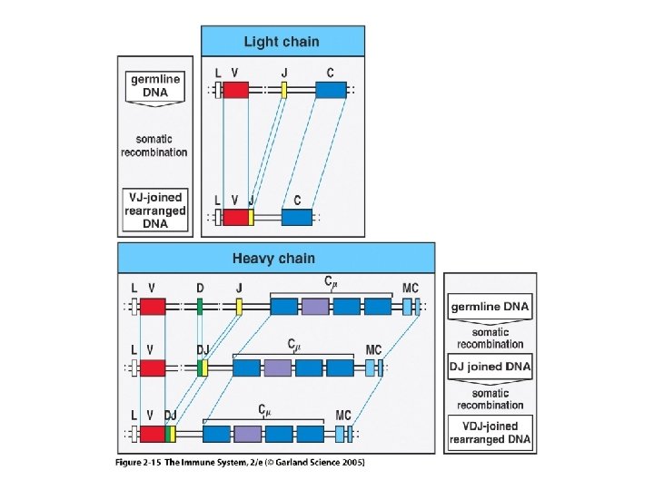 Figure 2 -15 