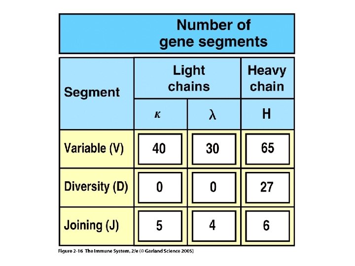 Figure 2 -16 