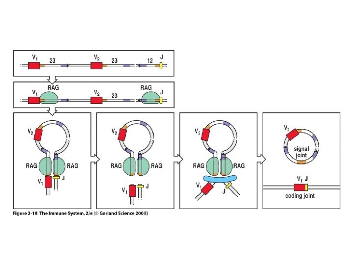 Figure 2 -18 