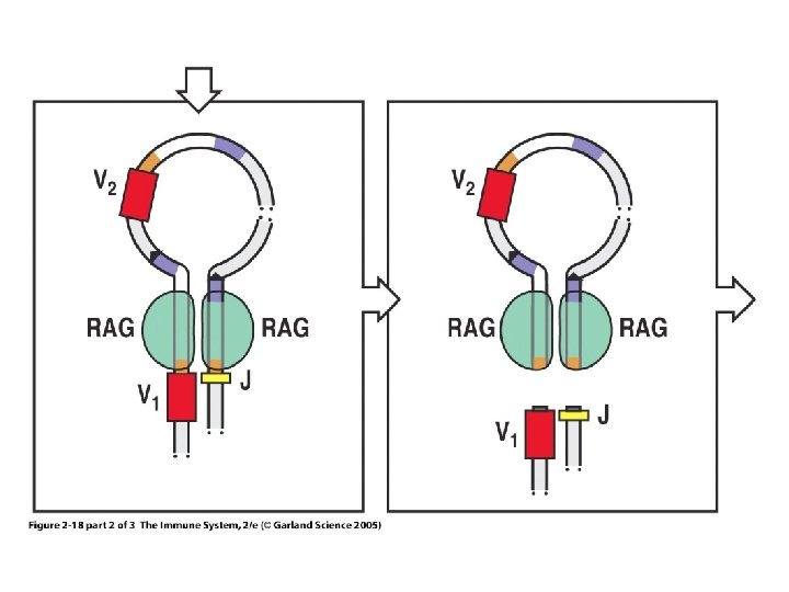 Figure 2 -18 part 2 of 3 