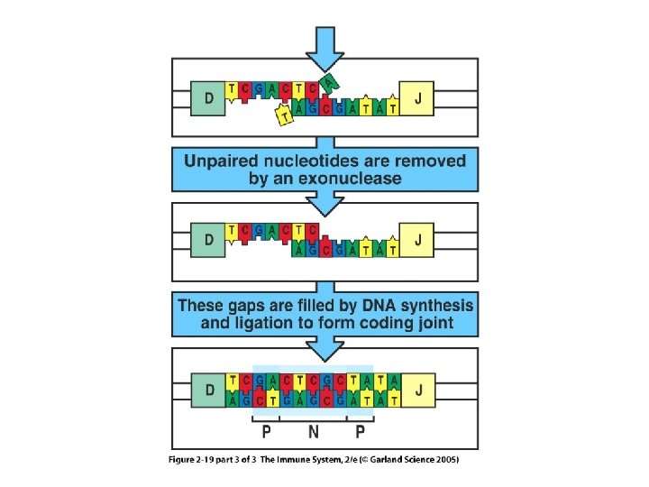 Figure 2 -19 part 3 of 3 