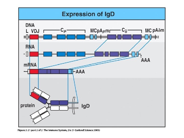 Figure 2 -21 part 2 of 2 