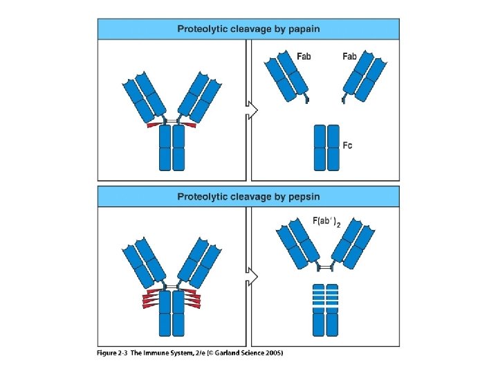 Figure 2 -3 