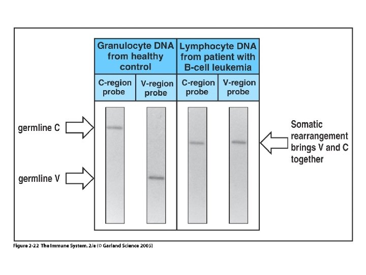 Figure 2 -22 