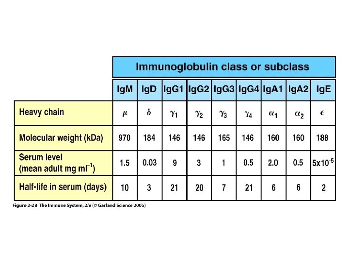 Figure 2 -28 