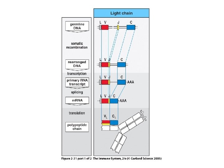 Figure 2 -31 part 1 of 2 